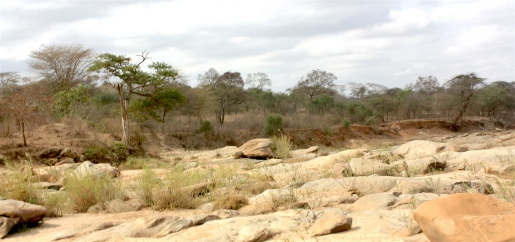 Dry river bed in Machakos county, Kenya.
