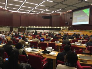 Meeting of the Committee of Experts at the Conference of Ministers 2015, Addis Ababa, Ethiopia.