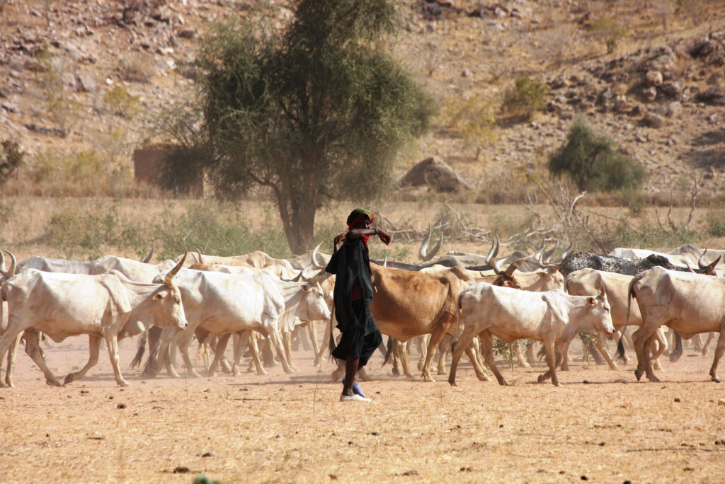 A herder near the border of Mauritania and Senegal where resilience to drought disasters is a priority.