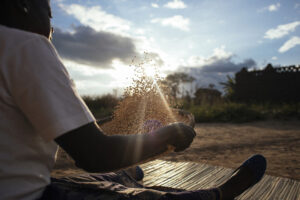 Bester Glandson, a smallholder farmer in Malawi.